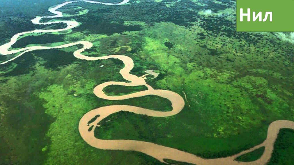 Нил