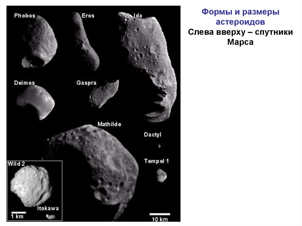 Формы и размеры астероидов Слева вверху – спутники Марса