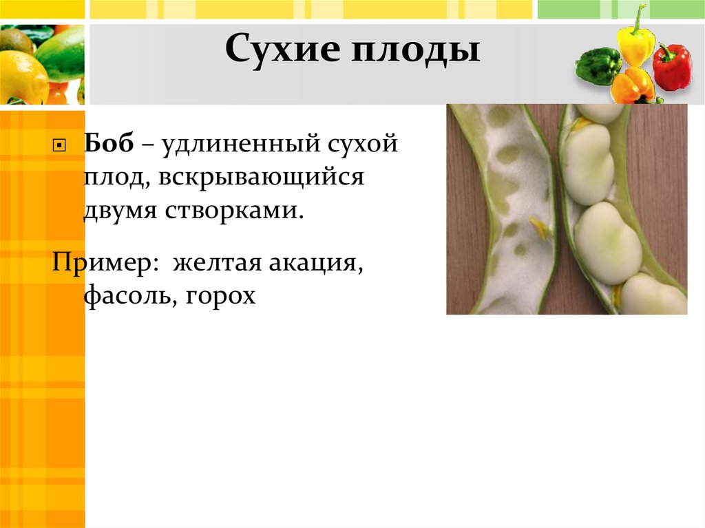 Сухие плоды