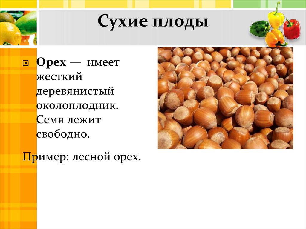 Сухие плоды