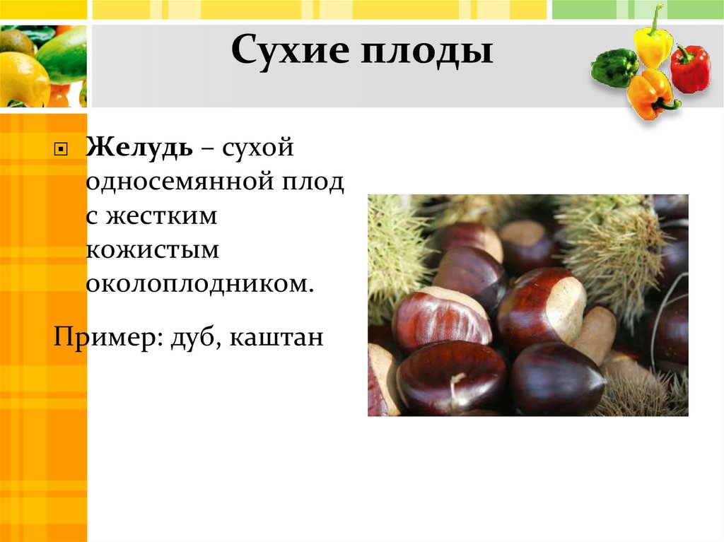 Сухие плоды