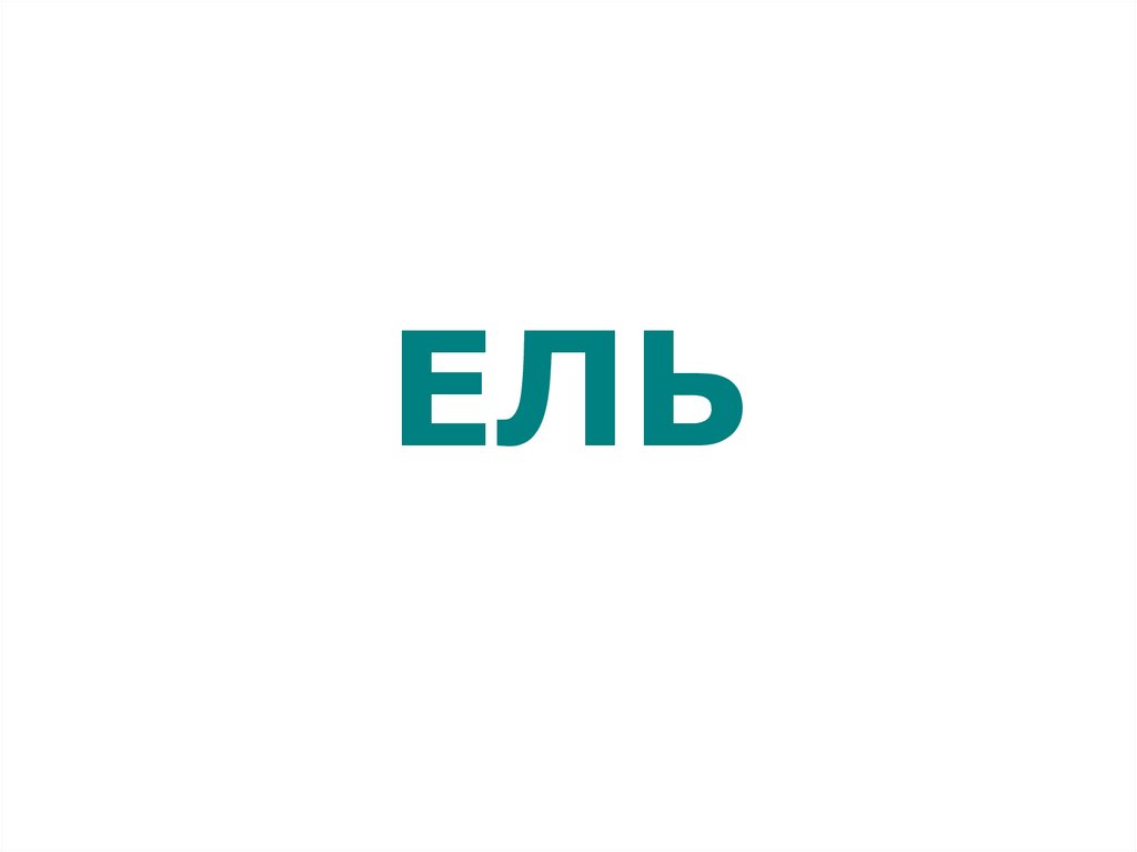 ЕЛЬ
