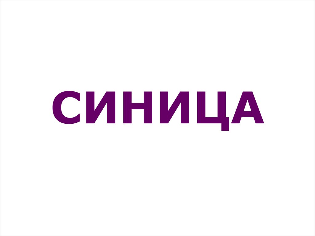 СИНИЦА