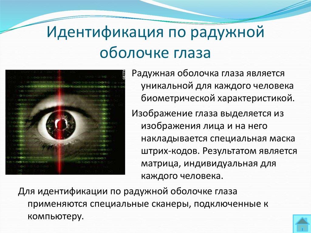 Методы обработки и распознавания изображений лиц в задачах биометрии