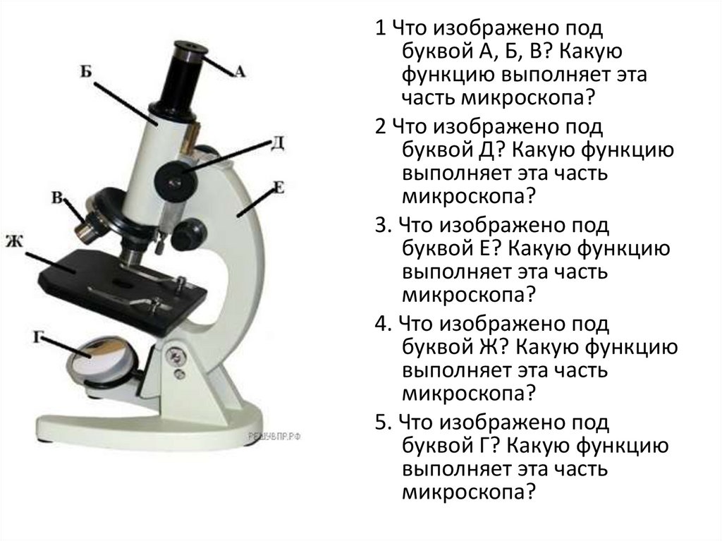 Какая деталь микроскопа обозначена буквой а впр. Световой микроскоп строение. Детали цифрового микроскопа 5 класс биология. Цифровой микроскоп строение 5 класс. Строение цифрового микроскопа 5 класс биология.