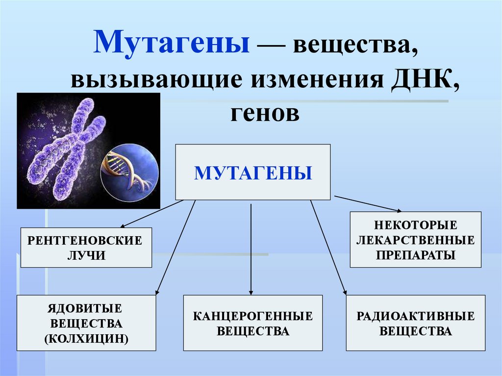 Изменение строения генов. Вещества мутагены. Биологические мутагены. Мутагенные факторы генетика. Мутагены химические и биологические.