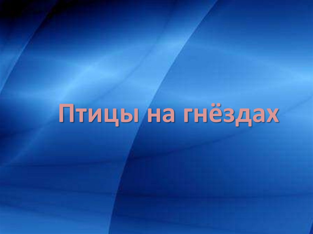 Птицы на гнёздах - презентация онлайн