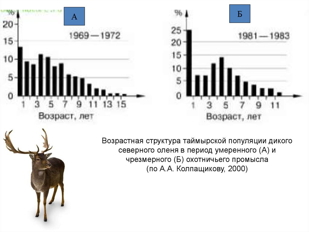 На схемах показана возрастная структура популяций какая из популяций наиболее жизнеспособна