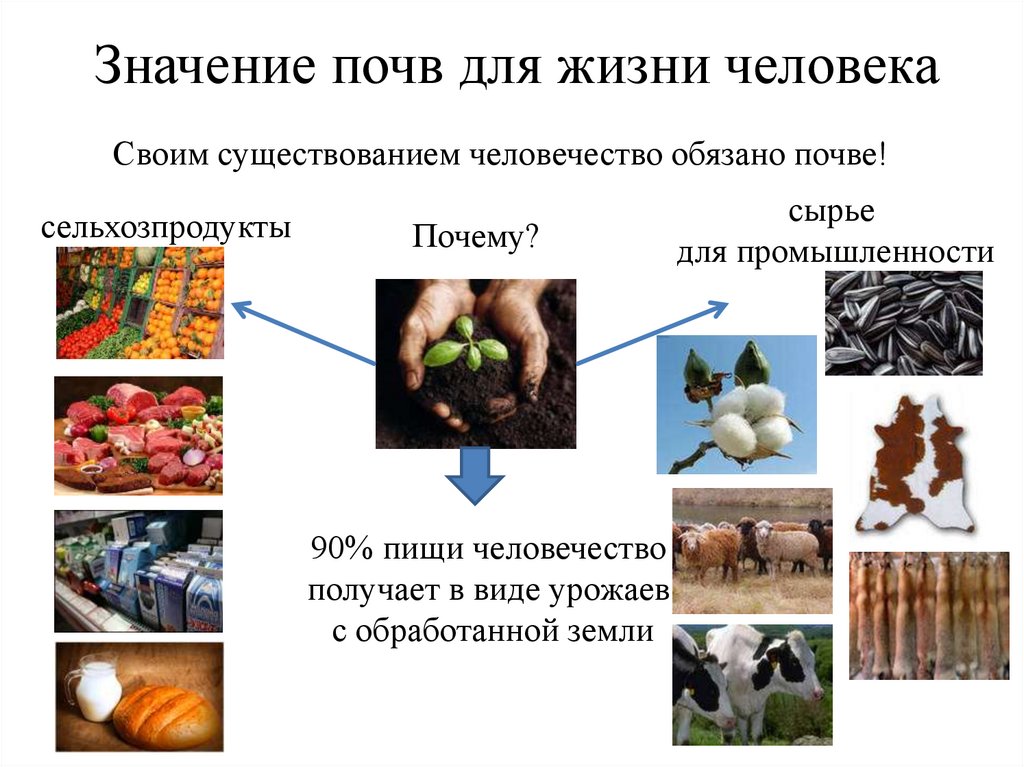 Какие значения почвы. Значение почвы для человека. Значение почвы в жизни человека. Значение почвы для жизни. Значение почвы для человека кратко.