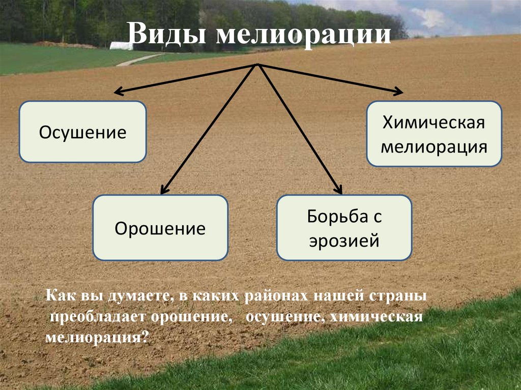 Виды природных ресурсов почвенные