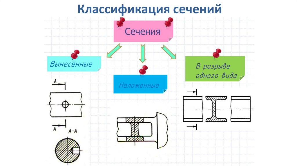 Какие выделяют сечения