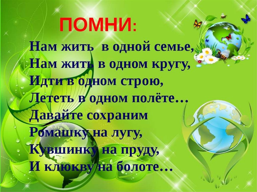 Презентация по теме природа