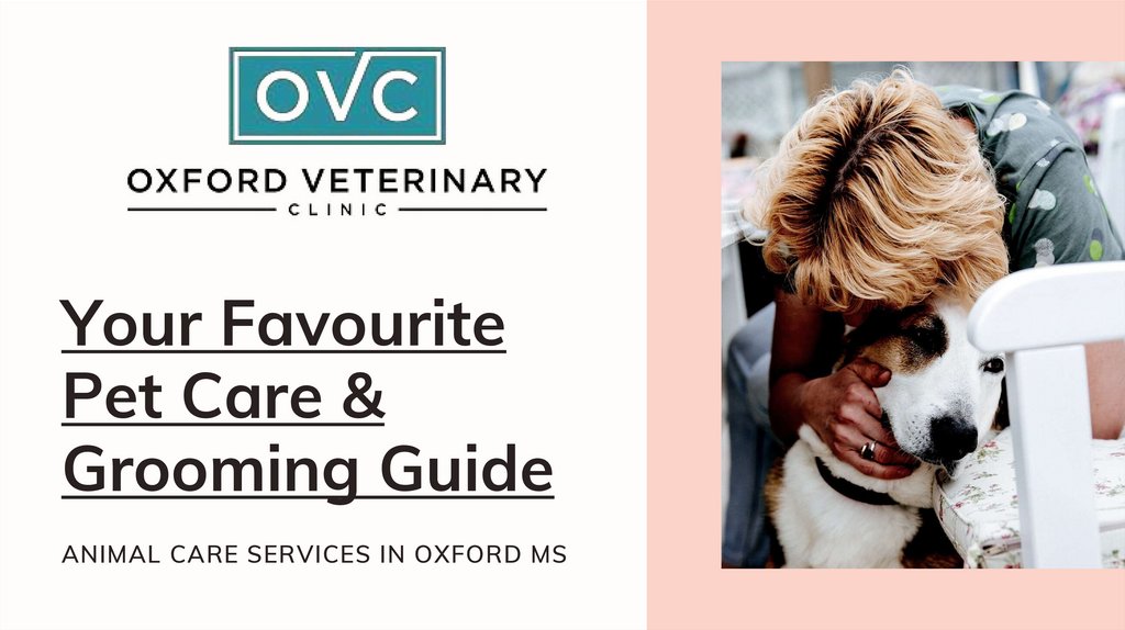 Your Favourite Pet Care & Grooming Guide - презентация онлайн