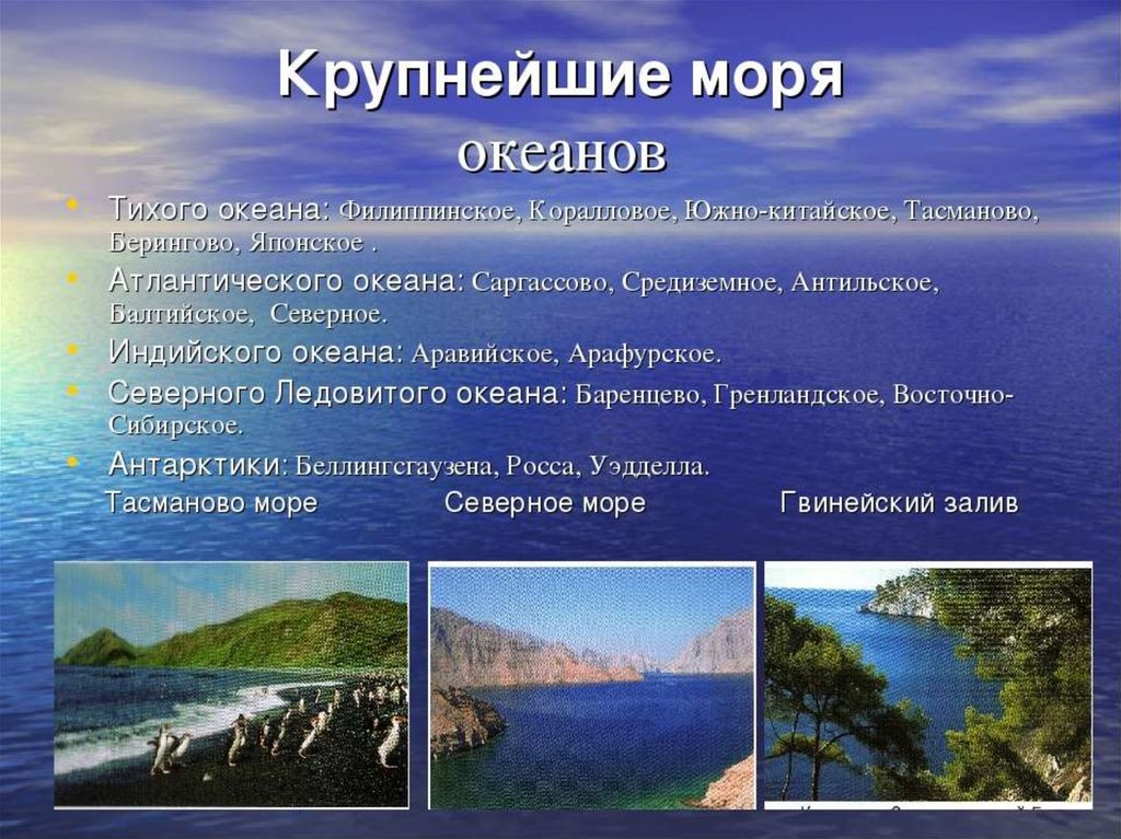 Характерная особенность океана. Название морей. Моря названия список. Моря и океаны их названия. Список на море.