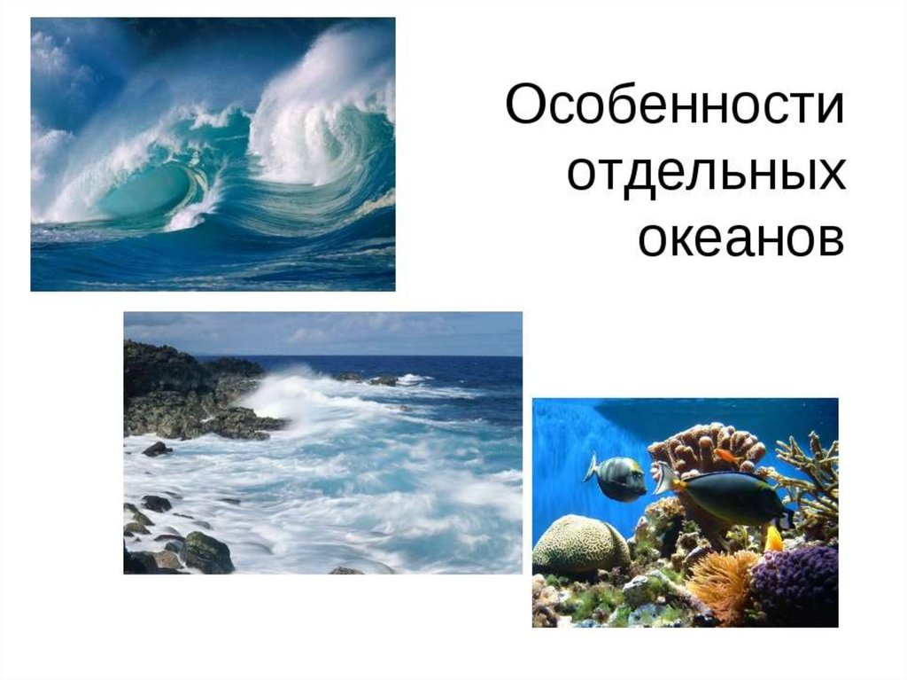 5 особенностей океанов. Особенности отдельных океанов. Всемирный день океана. Особенности природы океанов. Особенности океанов география.