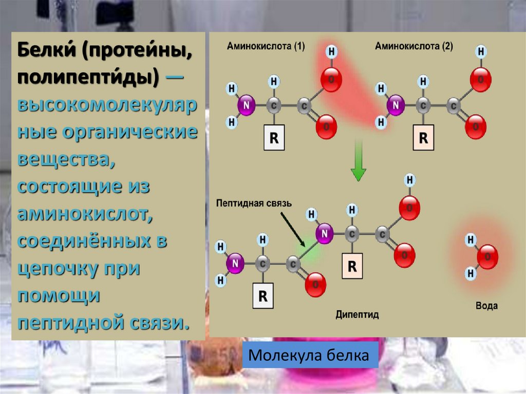 Аминокислоты и белки презентация по химии 9 класс