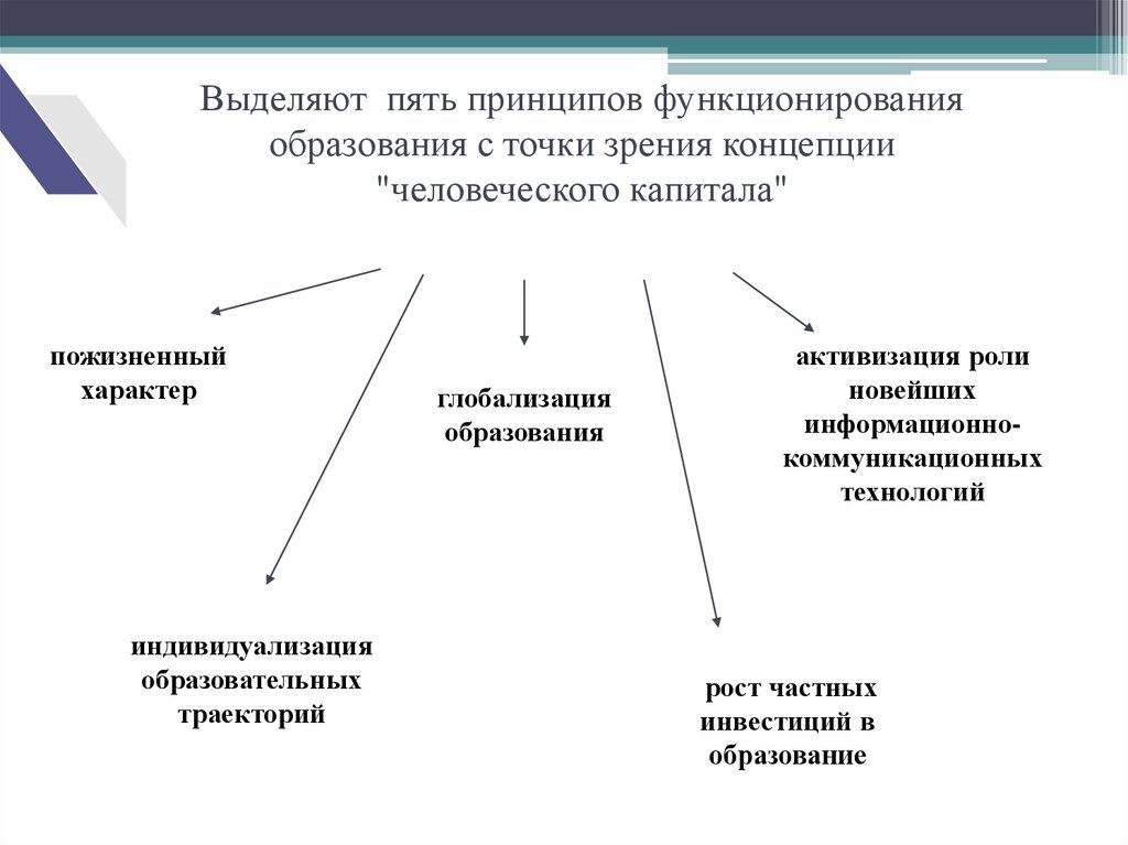 5 теорий. Глобализация образования. Пять принципов. Эволюция теории человеческого капитала.. Принципы 5с.