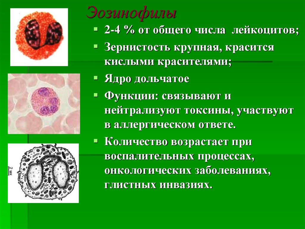Кровь эозинофилы 10
