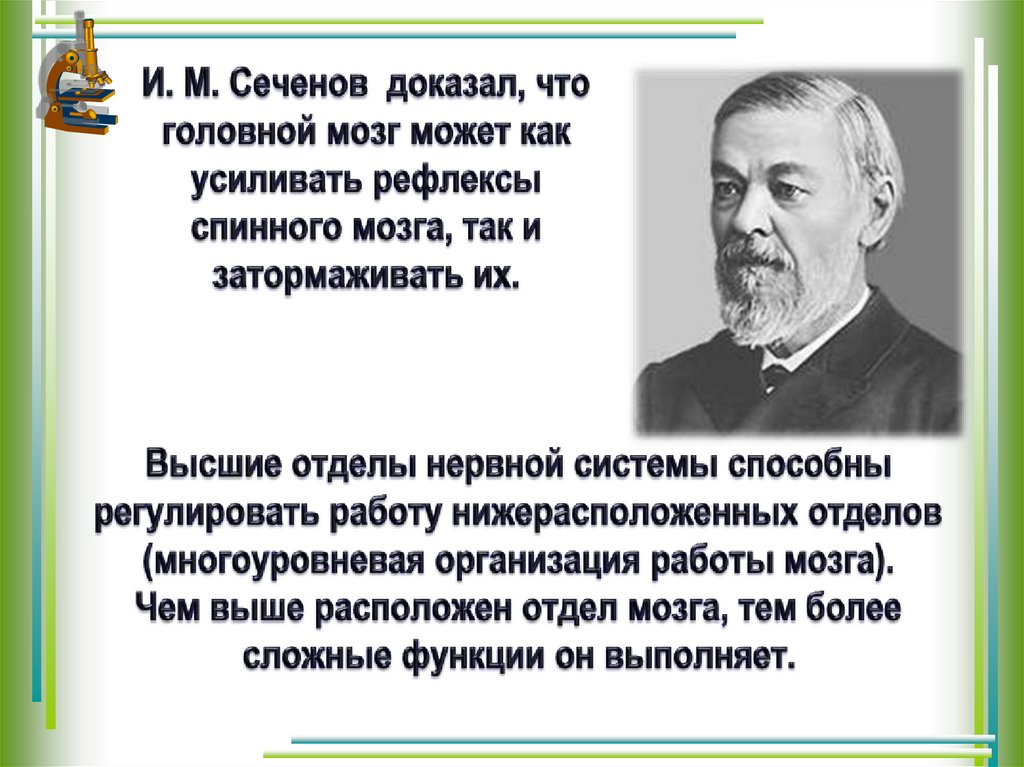 Вклад отечественных ученых в разработку учения о внд презентация 8 класс