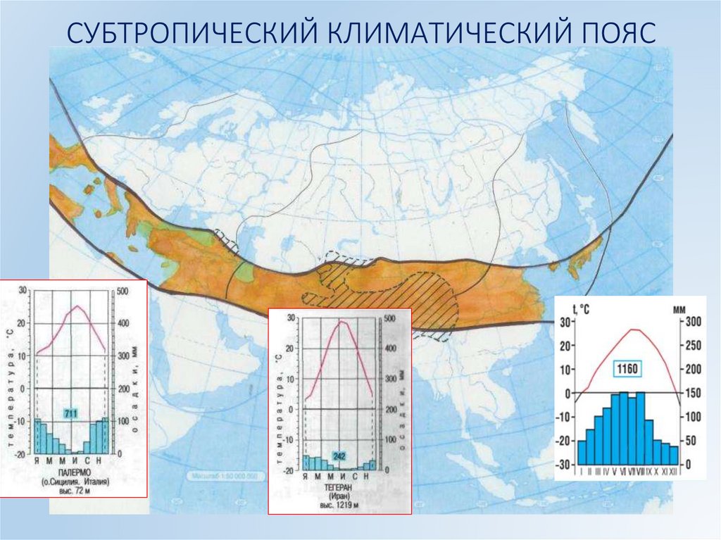Климатические пояса россии субтропический