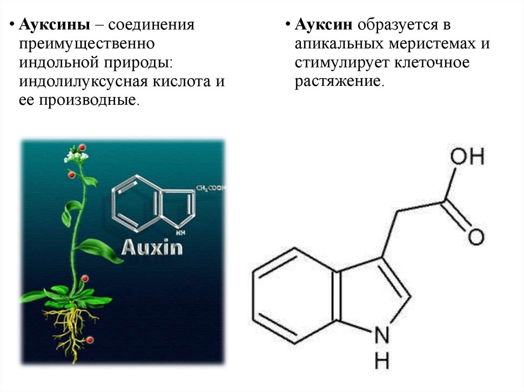 Регуляторы роста и развития растений презентация