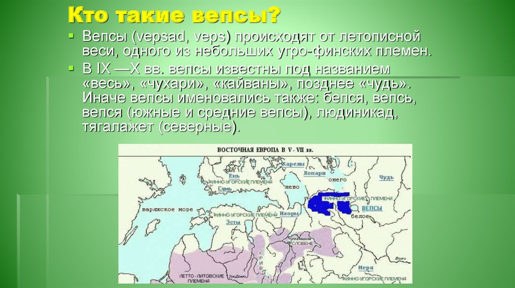 Кому платили дань финские племена. Вепсы карта расселения. Расселение вепсов. Вепсы где живут. Расселение вепсов в России.