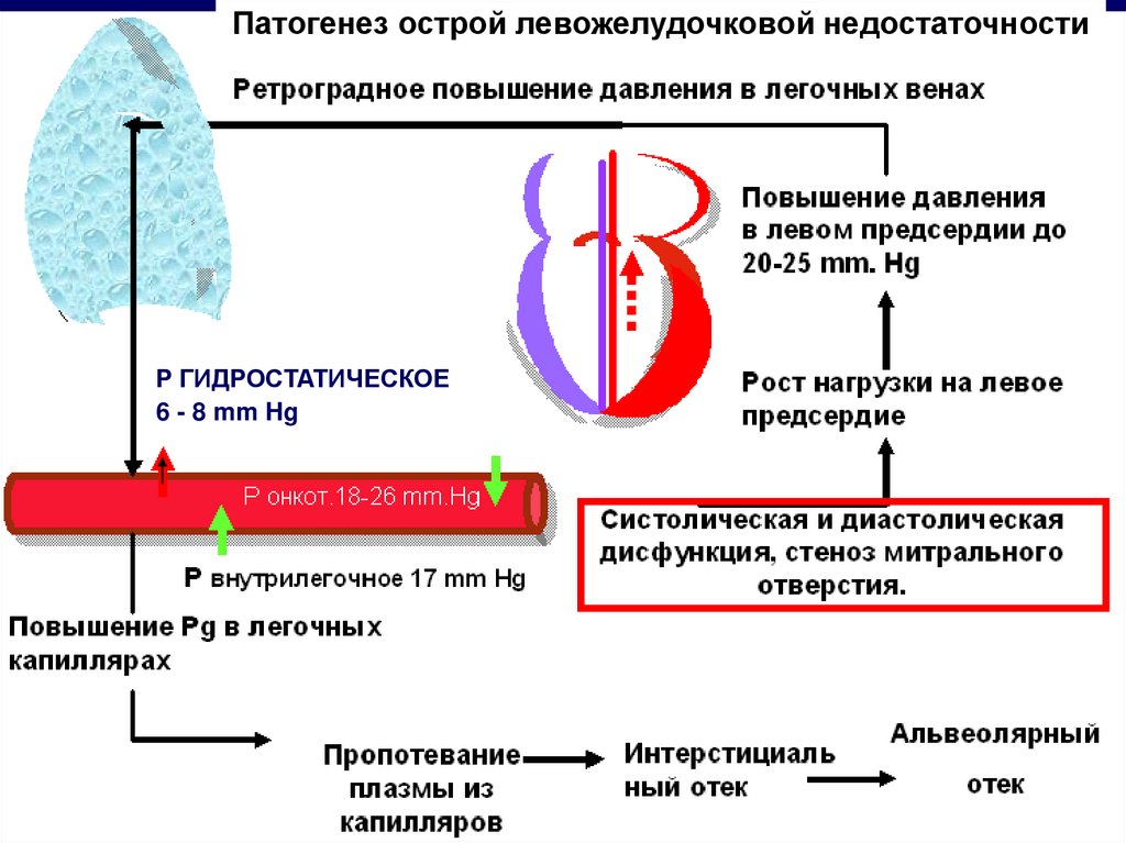 Схема патогенеза опухоли