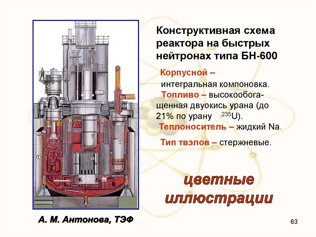 Первая в мире на быстрых нейтронах. БН-800 свод. БН-800 реактор схема. БН-600 реактор. Схема реактора БН 600.