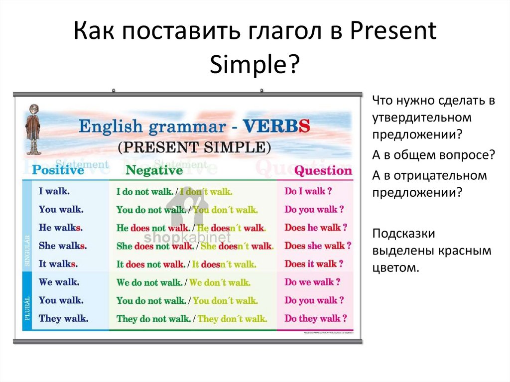 Как поставить глагол в Present Simple?