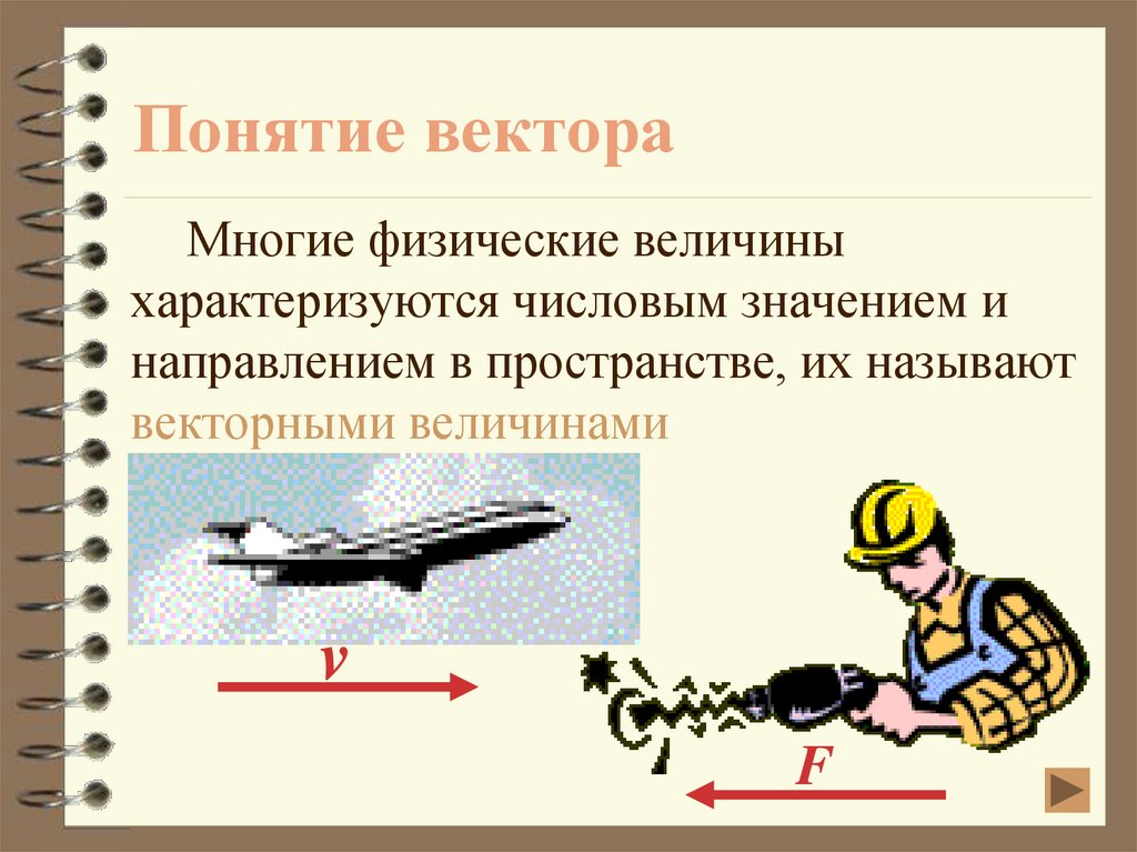 Вектор физическая величина. Понятие векторной величины. Понятие Векторная физическая величина. Векторы в физике примеры. Векторы в жизни примеры.