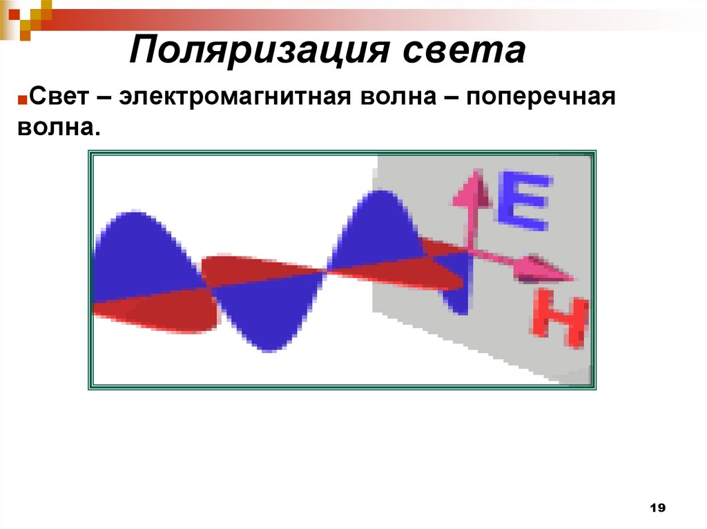 Электромагнитные волны бывают продольными. Свет электромагнитная волна. Поляризация электромагнитных волн. Поперечная поляризованная волна. Поляризация световых волн физика.