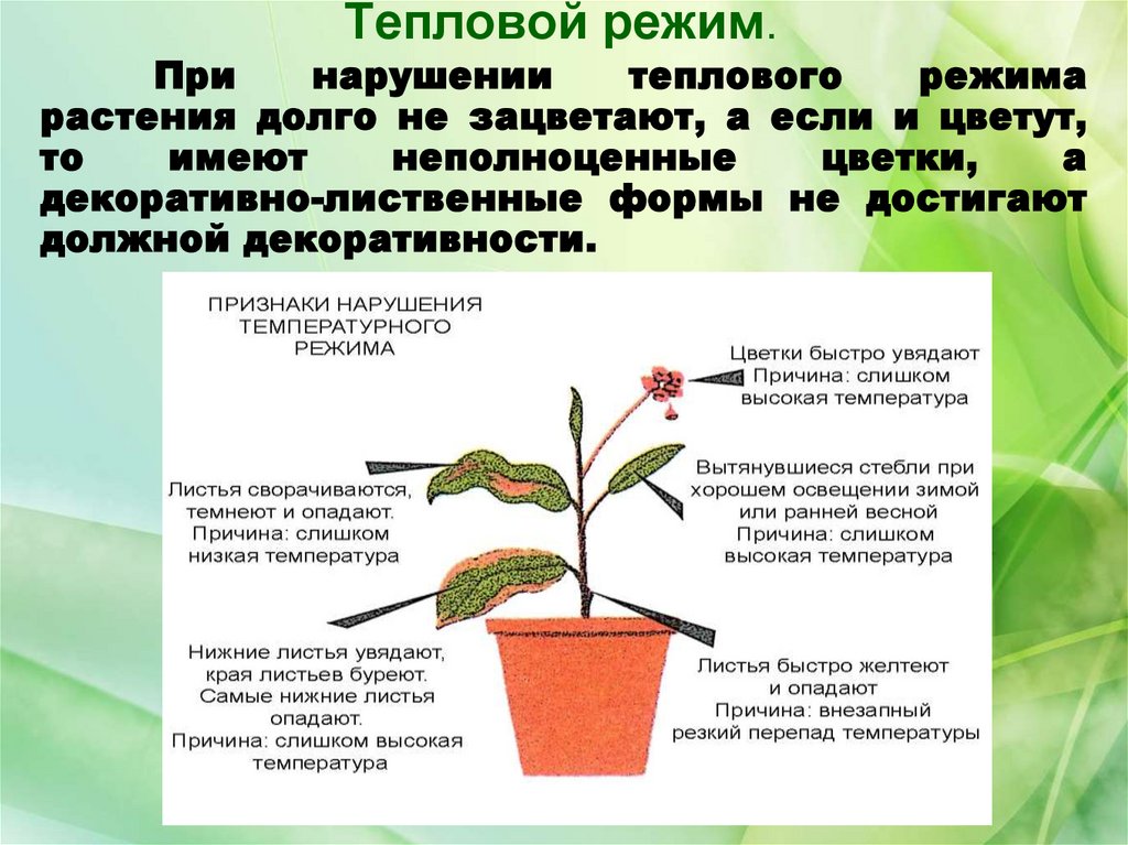 Тепловой режим степи