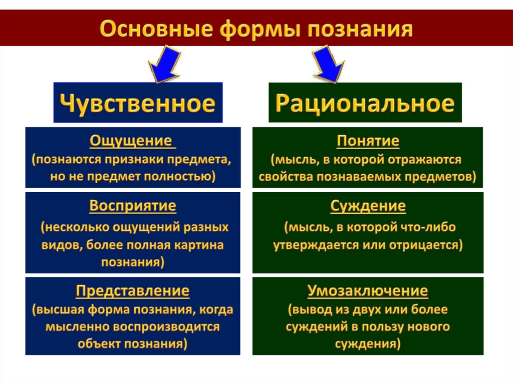 Коммуникативная деятельность человека презентация