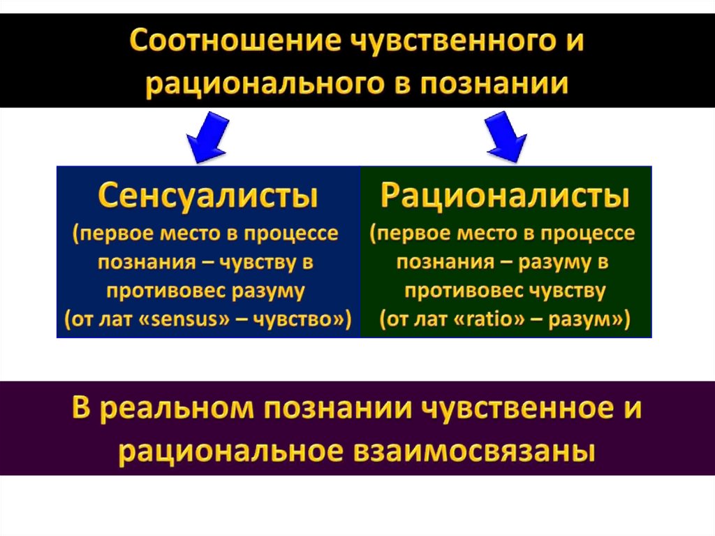 Презентация познавательная и коммуникативная деятельность