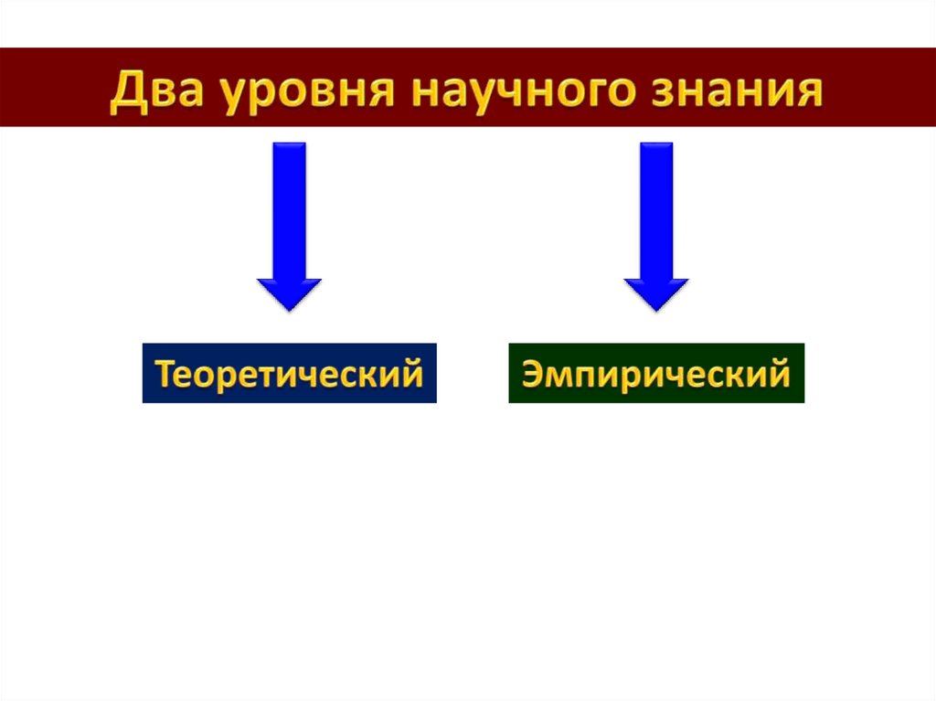 Презентация познавательная и коммуникативная деятельность