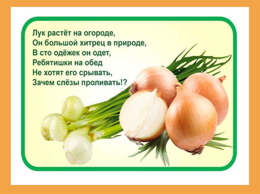 Развитие растений из семени - презентация онлайн