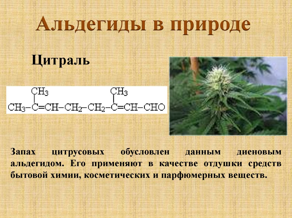 Запах альдегида какой. Альдегиды в природе. Цитраль альдегид. Презентация по теме альдегиды. Цитраль в природе.