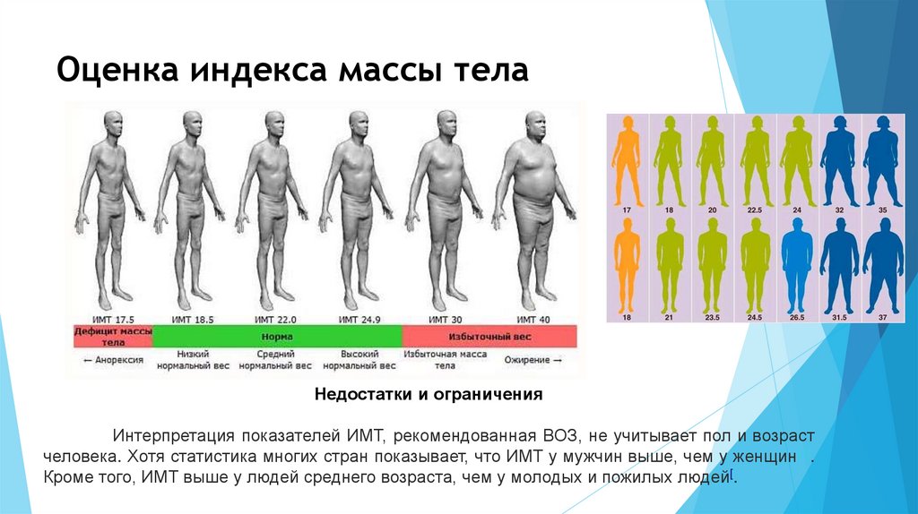 Оценка индекса массы тела
