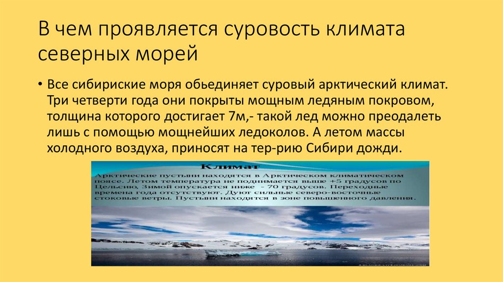 Арктические моря 9 класс география