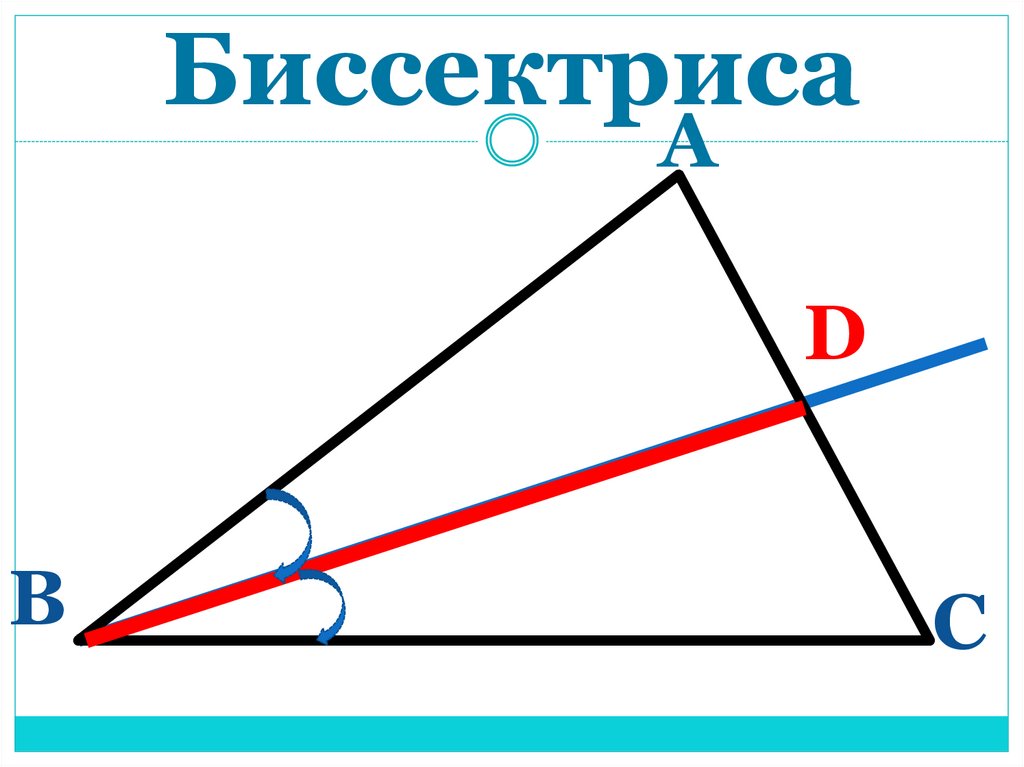 Биссектриса фигуры. Биссектриса треугольника рисунок. Формула биссектрисы треугольника. Что такое биссектриса в геометрии. Медиана треугольника рисунок.