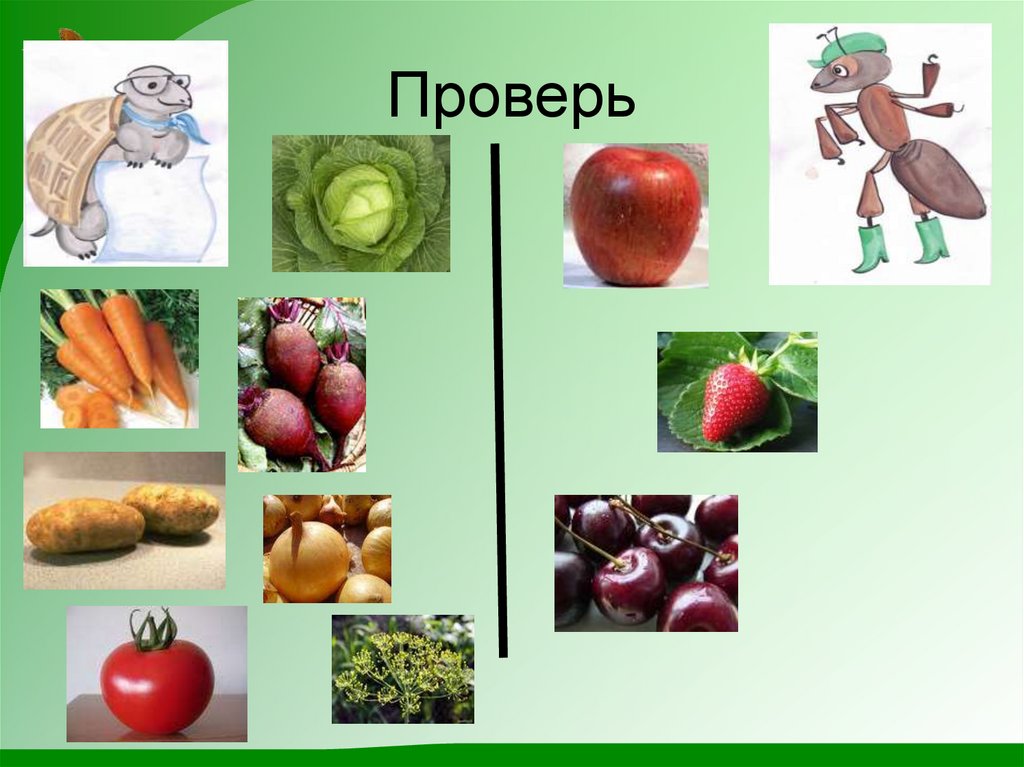 Почему полезно есть фрукты 1 класс. Фрукты 1 класс окружающий. Овощи окружающий мир. Овощи и фрукты презентация 1 класс. Занятие окружающий мир овощи.