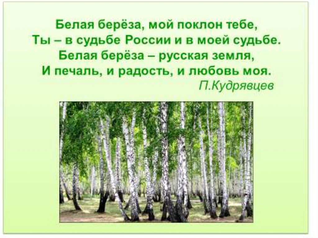 Презентация береза символ россии для дошкольников