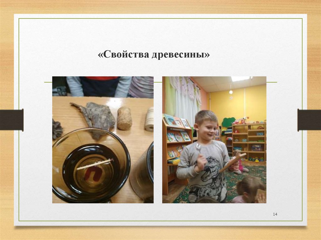 «Свойства древесины»