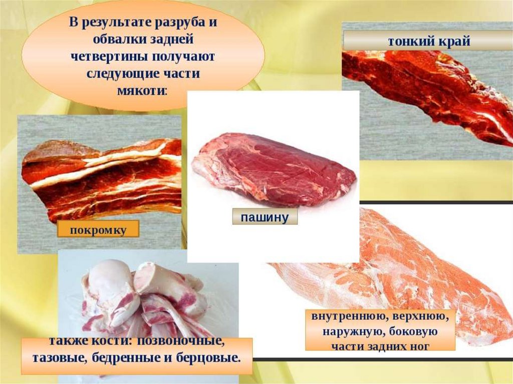 Обвалка мяса - презентация онлайн