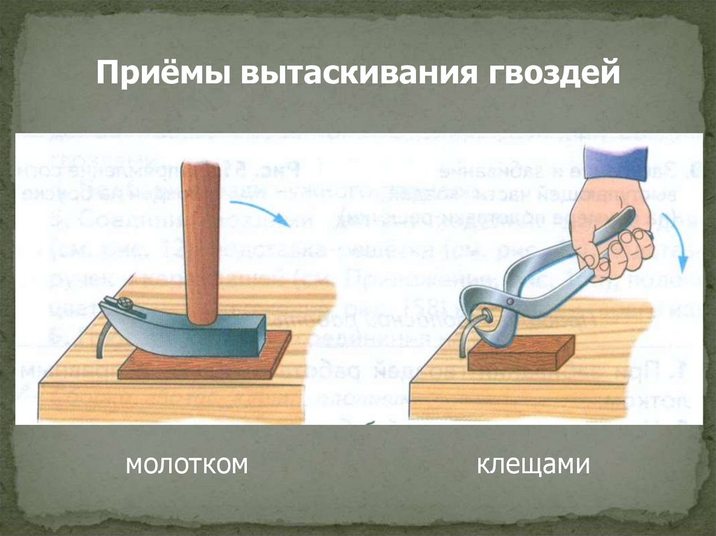 Средняя сила молотка по гвоздю. Для вытаскивания гвоздей. Технология соединения деталей гвоздями презентация. Какой инструмент применяется при вытаскивании гвоздей. Вытаскивание гвоздей клещами.