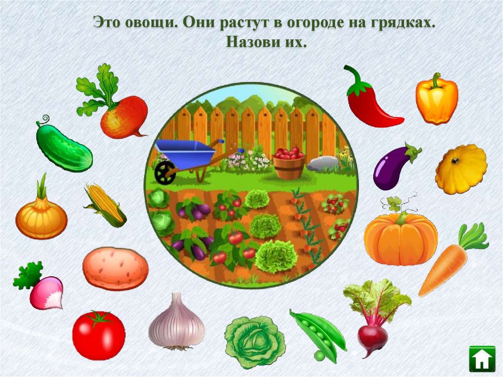 Игра овощи цель игры. Овощи и фрукты для дошкольников. Игра овощи. Овощи презентация для детей. Овощи окружающий мир.