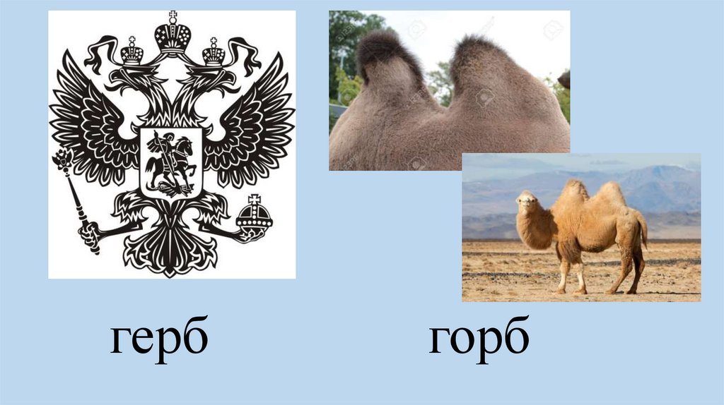 герб горб