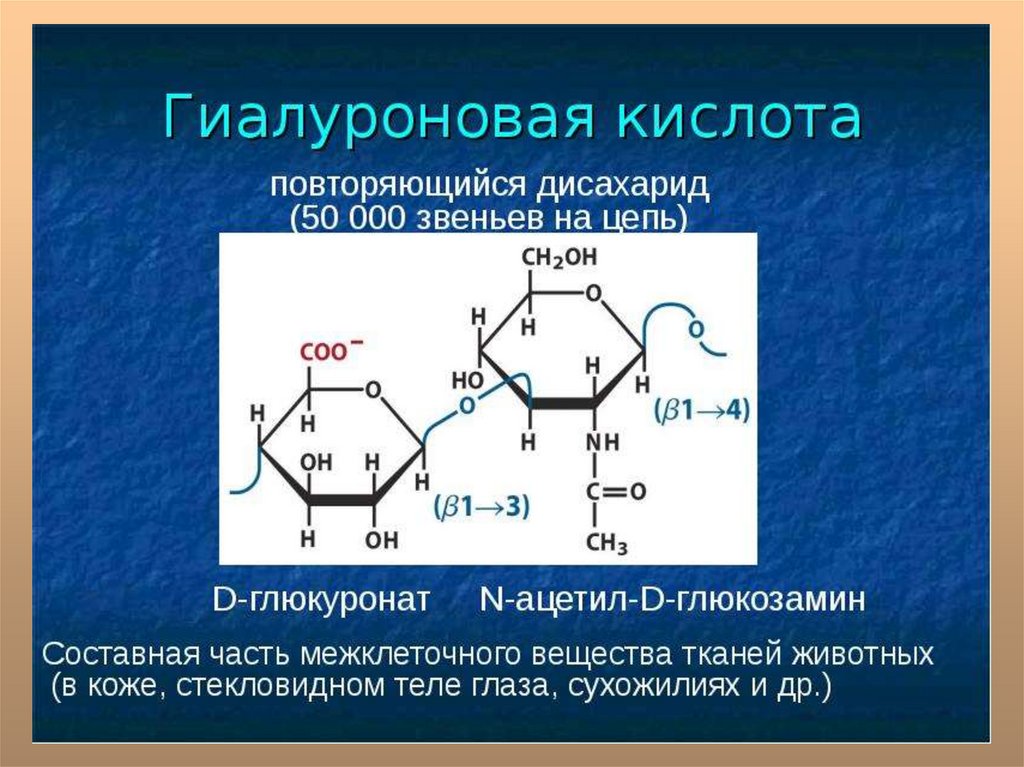 Хондроитина сульфат фото