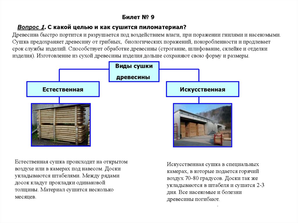 Рисунок образованный годичными кольцами называется ответ