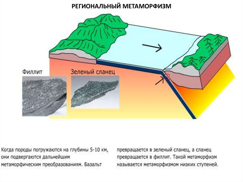Метаморфизм. Региональный и контактовый метаморфизм. Региональный метаморфизм породы. Термальный метаморфизм. Процессы метаморфизма горных пород.